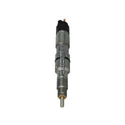 51101006070 BOSCH Injectores